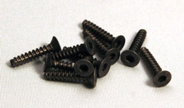 Titanium 2 x 10mm Tapping Countersunk Head Screw